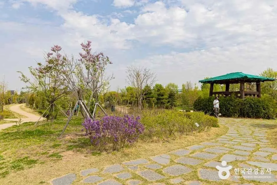 인천_계양구_계양꽃마루 (3)