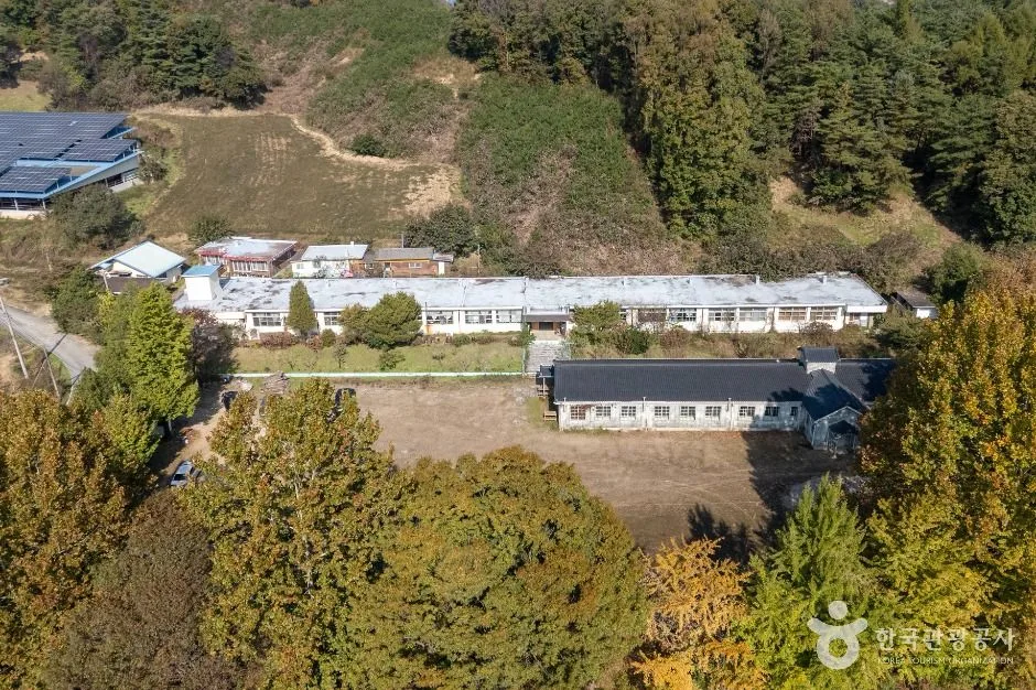 제천_공전자연학교 (3)