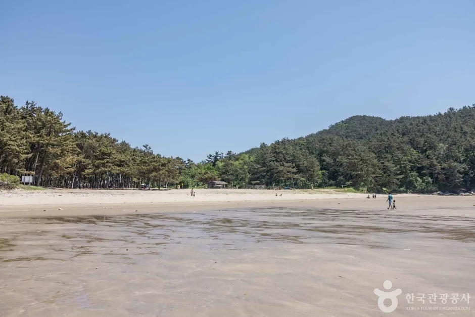 갈음이해수욕장 (11)