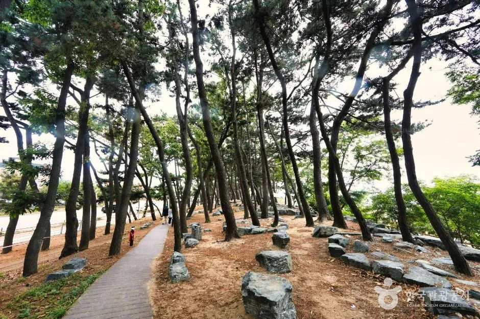 안산_방아머리해변 (3)