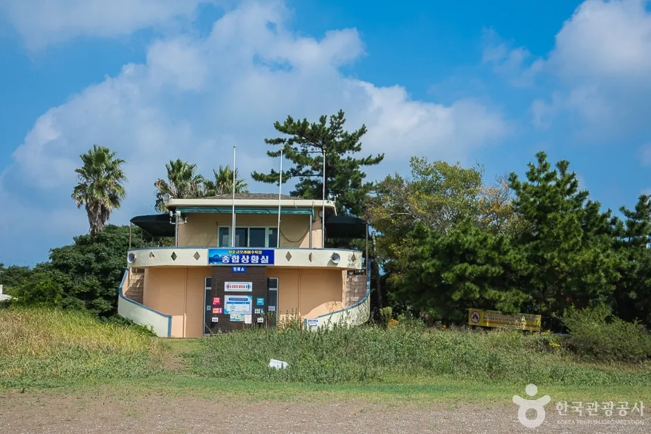 제주_서귀포_화순금모래 해변(6)