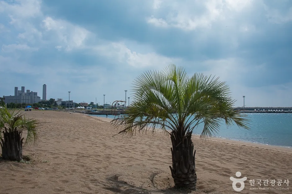 제주_서귀포_화순금모래 해변(10)
