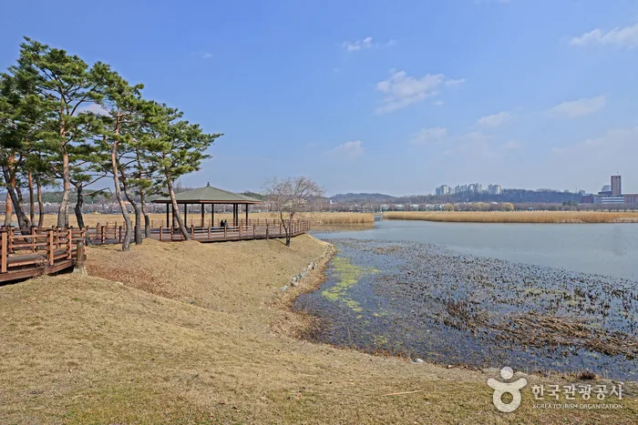 화랑유원지