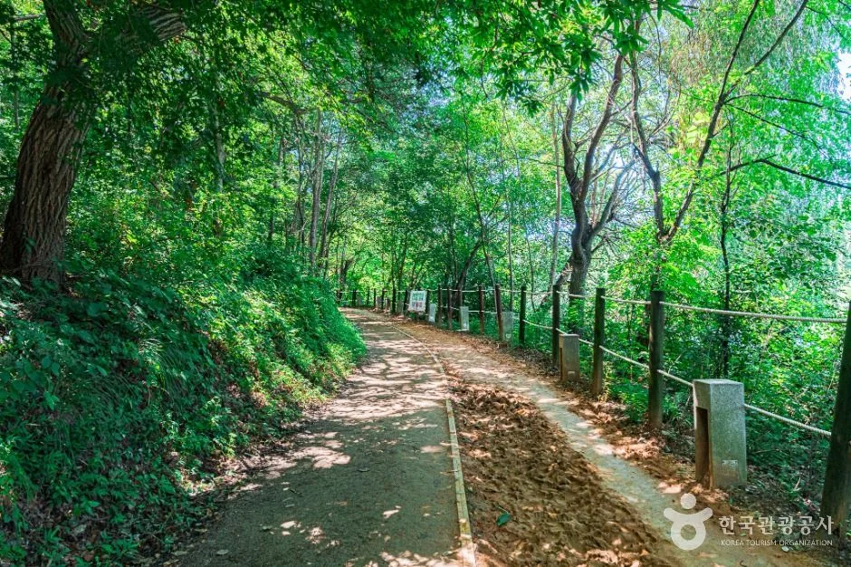 전주_오송제 (6)