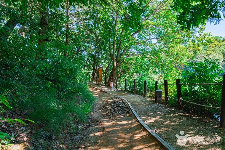 전주_오송제 (1)
