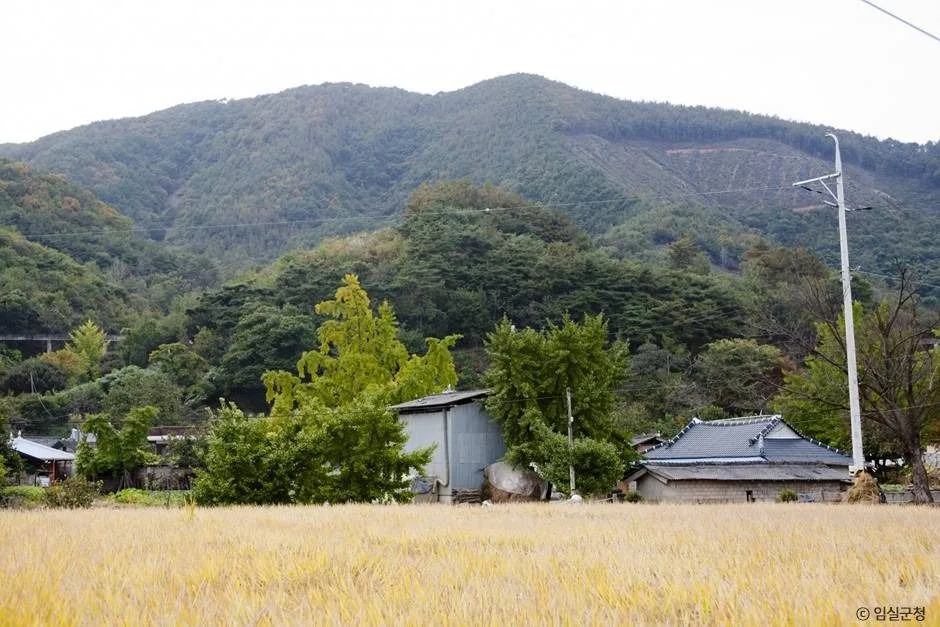 임실_덕재산 (3)