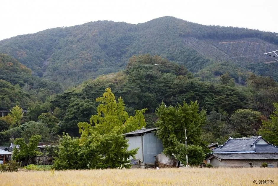 임실_덕재산 (2)