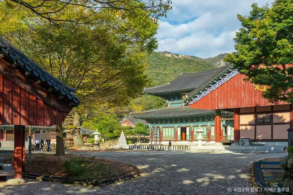 영암_도갑사 (3).jpg