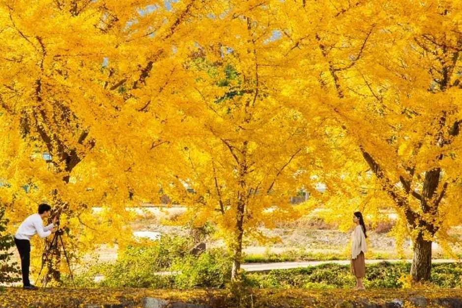 관광두레 주민사업체 (주)보령은행빵(2)