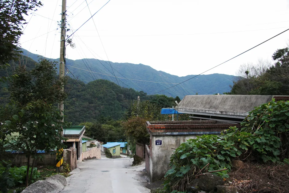경남_하동군_신촌마을 (5).jpg