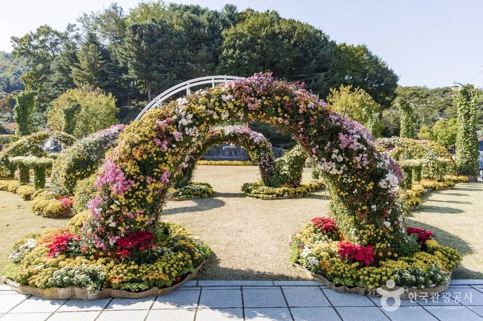 용인_용인농촌테마파크 (4)