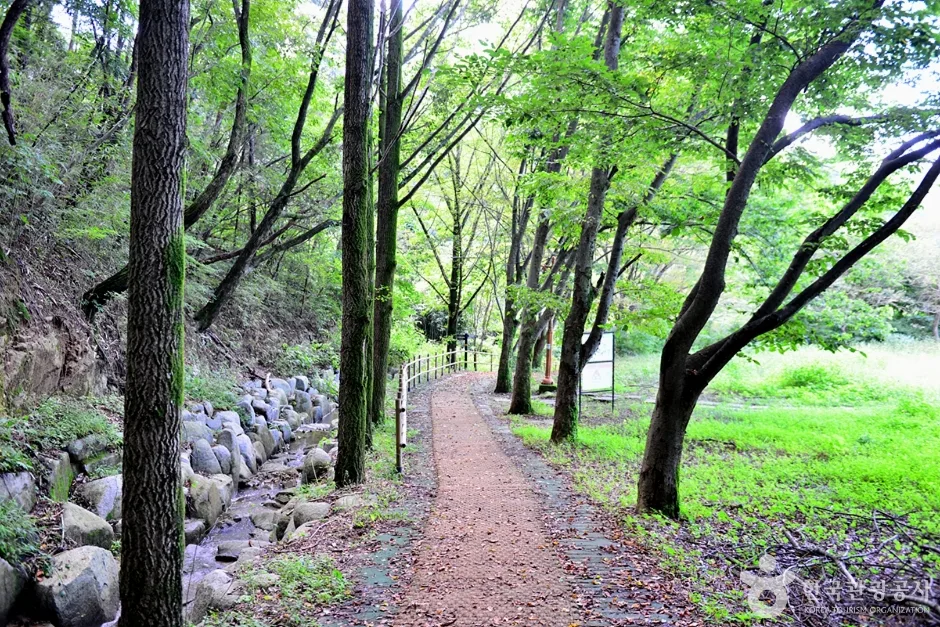 제4수원지 (14)