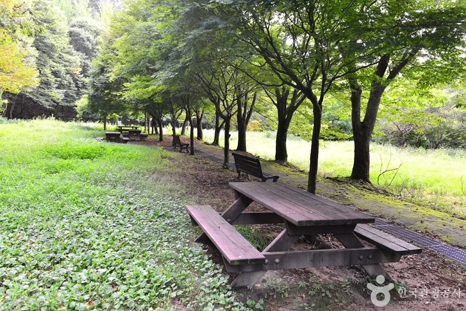 제4수원지 (12)