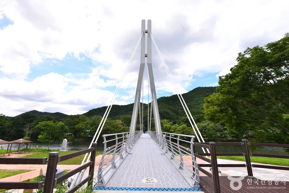 전남_화순_화순동복연둔리숲정이 (1)