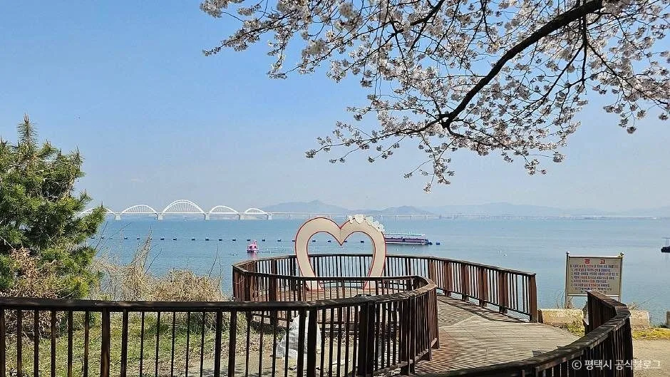 평택_평택호관광단지 (3)