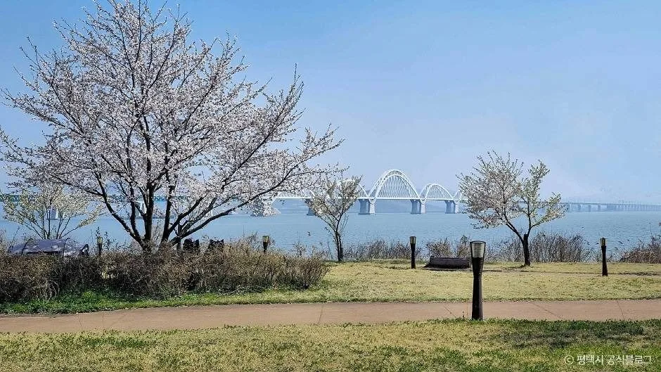 평택_평택호관광단지 (2)