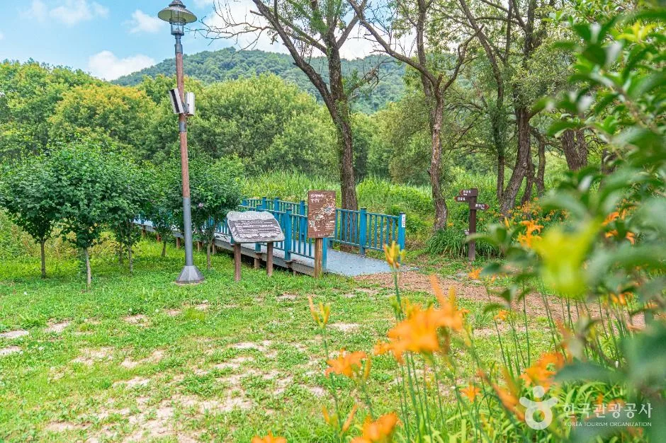 광주_광주호 호수생태원 (3)