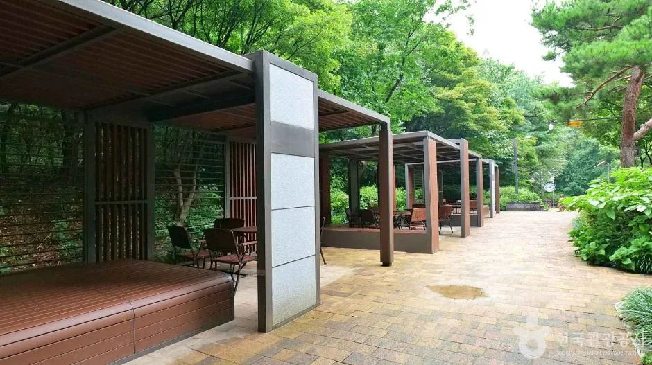 강남구_청담근린공원 (7)