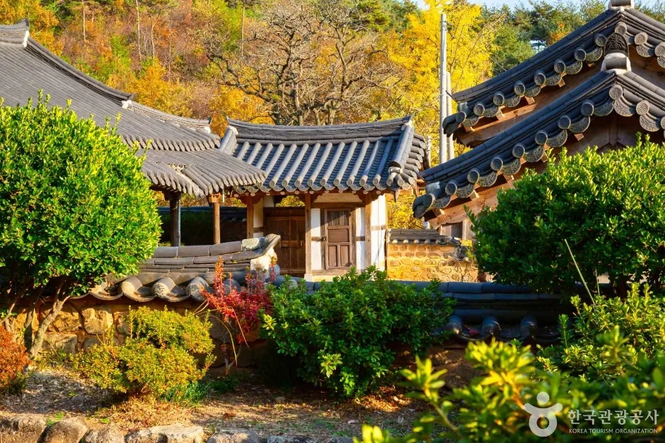 전남광주_장흥_해동사_외부_1.jpg