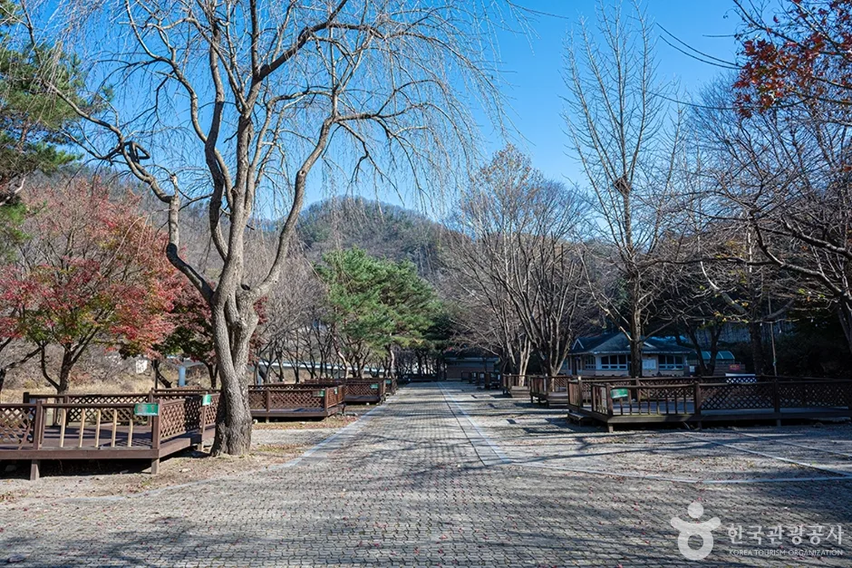 산장관광지 (3)