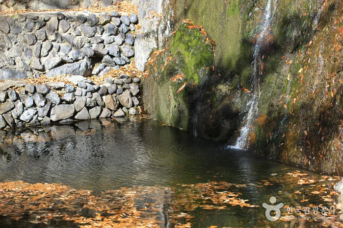 양산에 신선도 반할 비경이 숨어 있다