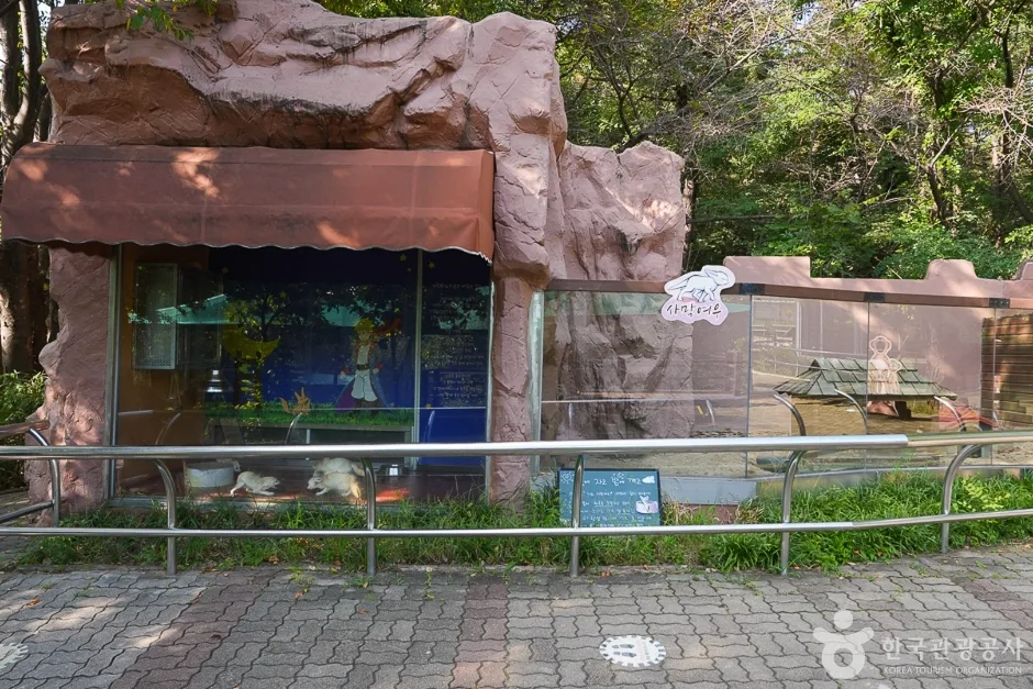 인천대공원 어린이동물원 (12)