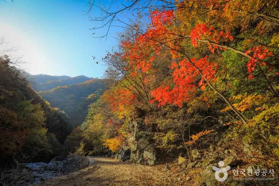 강원_양양_미천골계곡 (4).jpg