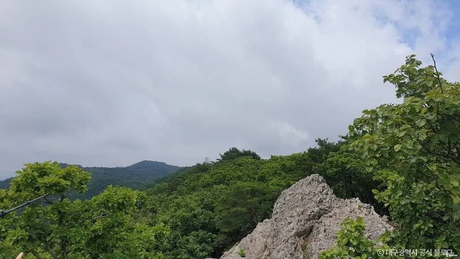 대구_최정산 (6)