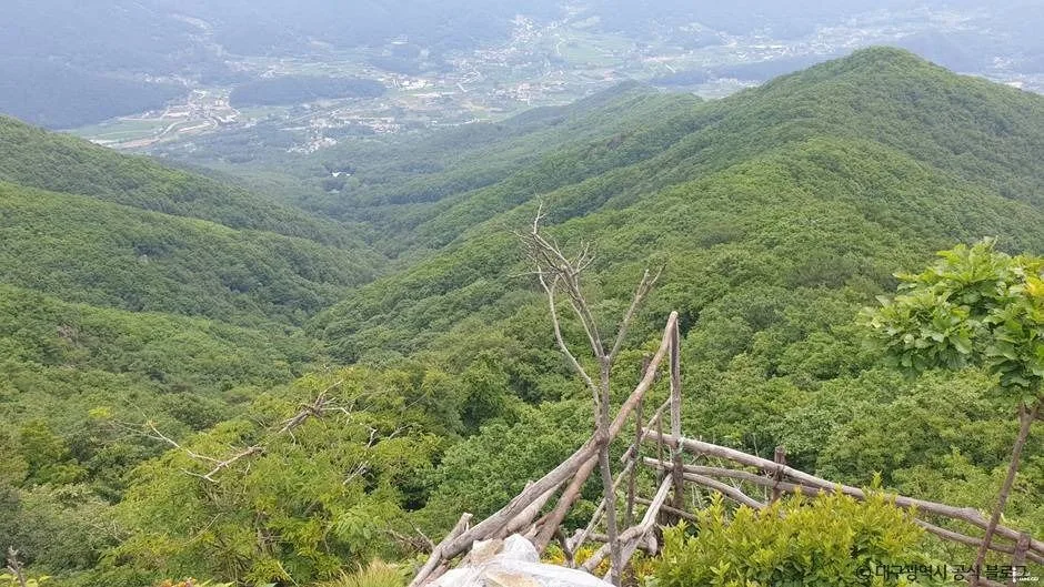 대구_최정산 (5)