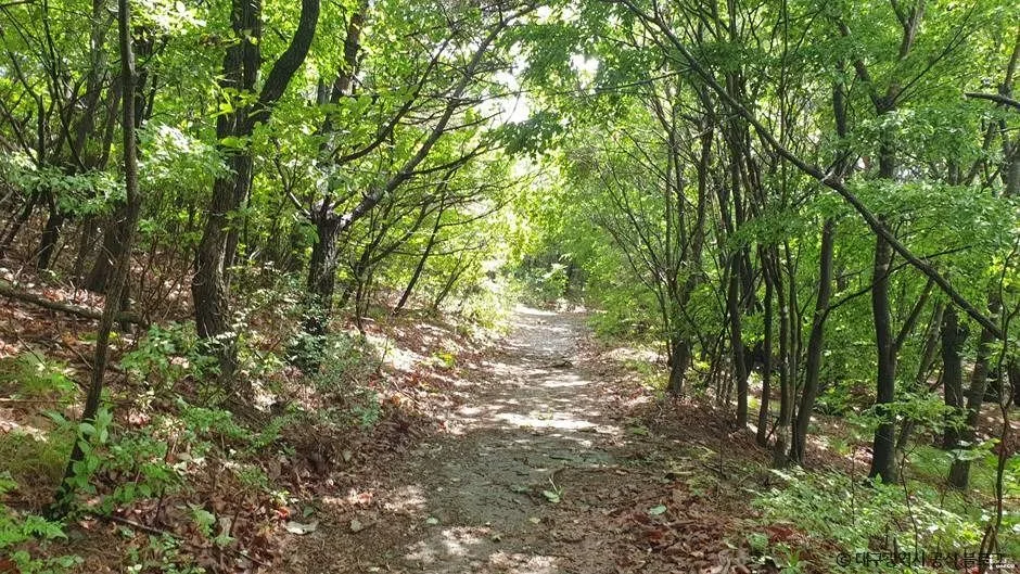 대구_최정산 (4)