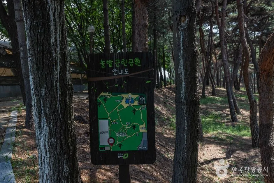 청주_솔밭공원 (10)