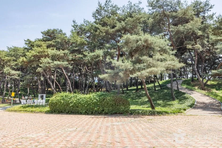 청주_솔밭공원 (2)