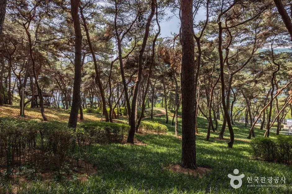 청주_솔밭공원 (5)