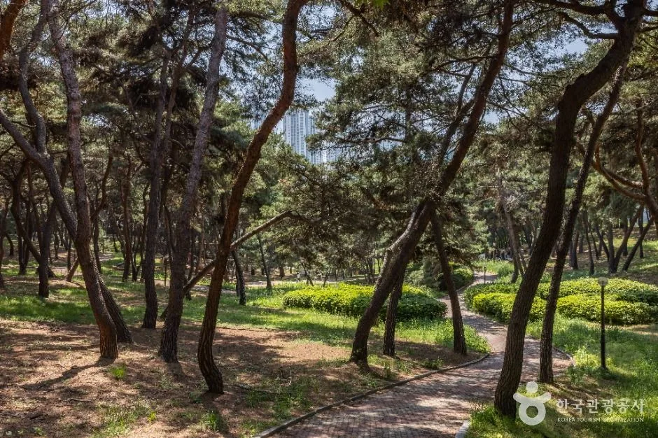 청주_솔밭공원 (11)