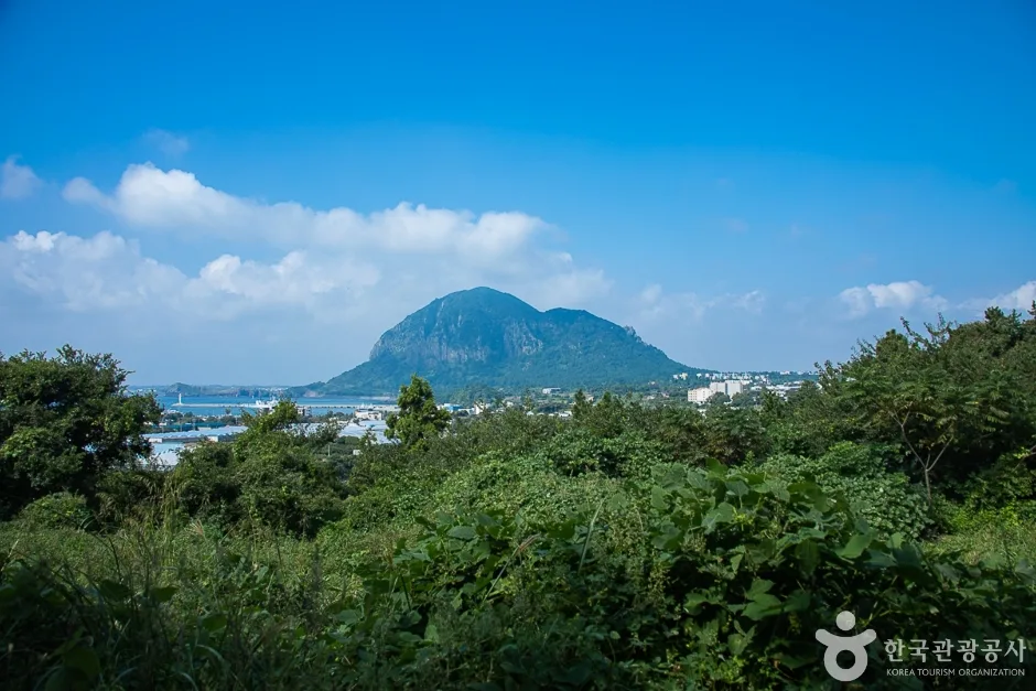 안덕 월라봉