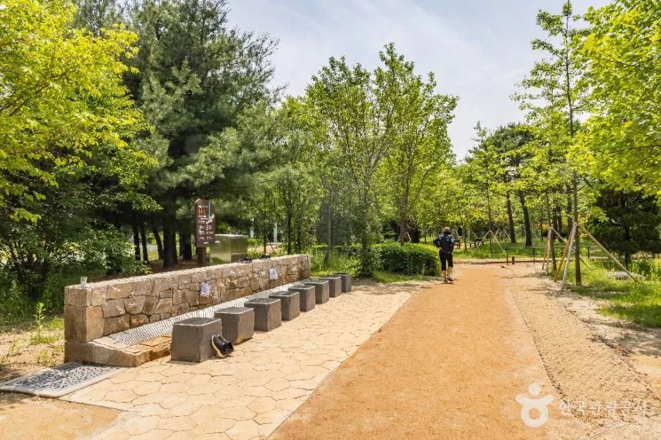 청주_문암생태공원 (2)