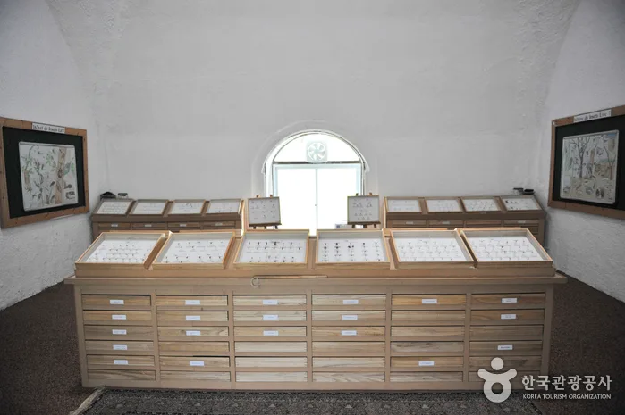 홀로세생태학교