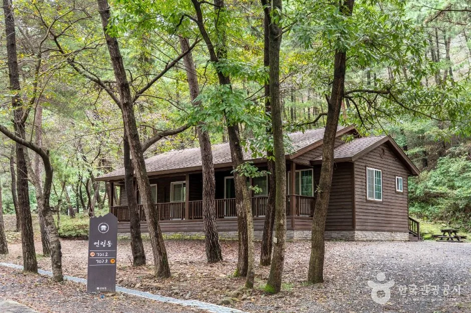 서천_국립 희리산해송자연휴양림 (1)