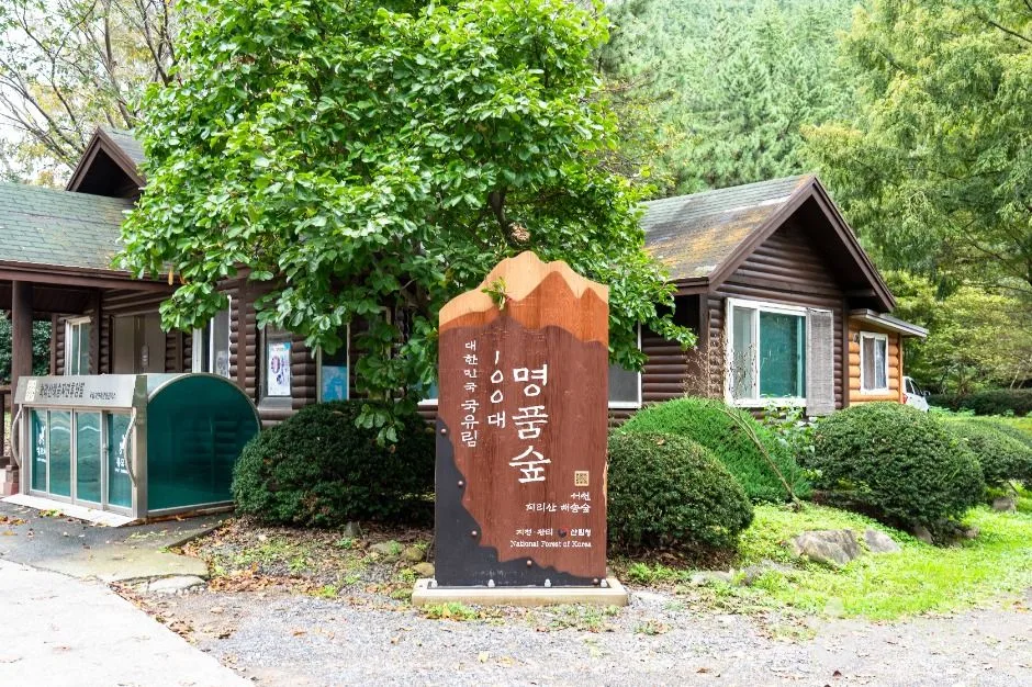 서천_국립 희리산해송자연휴양림 (6)