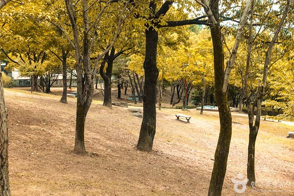 신암공원 (7)