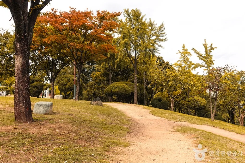 신암공원 (14)