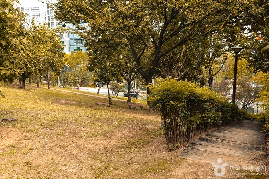신암공원 (11)
