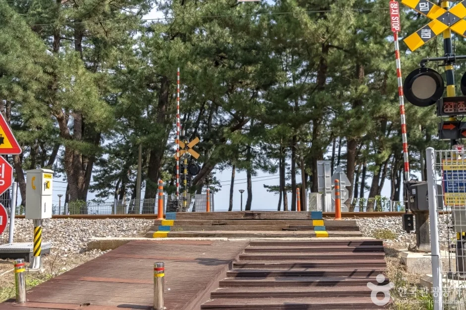 등명해변(등명해수욕장) (3)