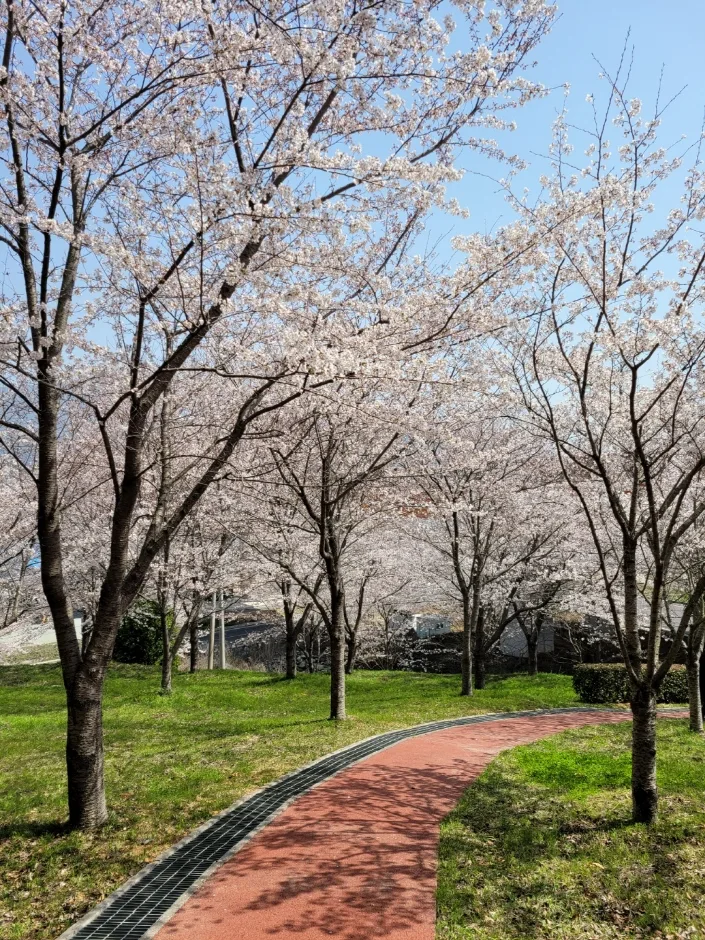 경남_사천시_모충공원 (5).jpg
