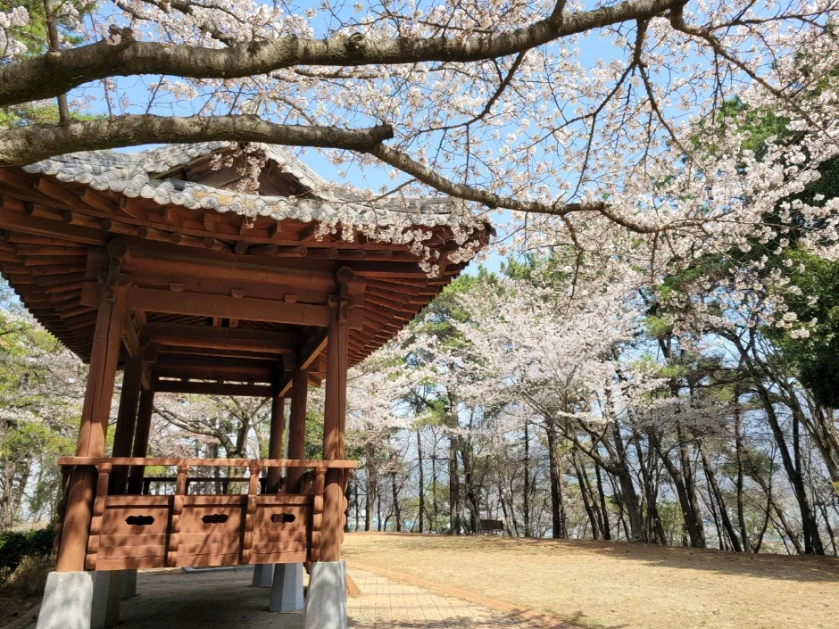 경남_사천시_모충공원 (3).jpg