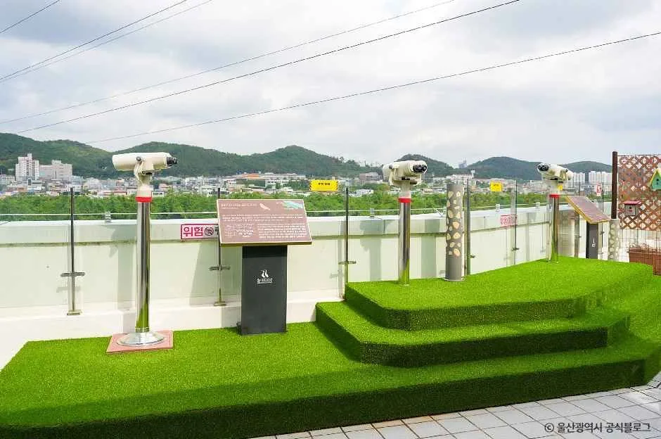 울산_철새홍보관 (4).jpg