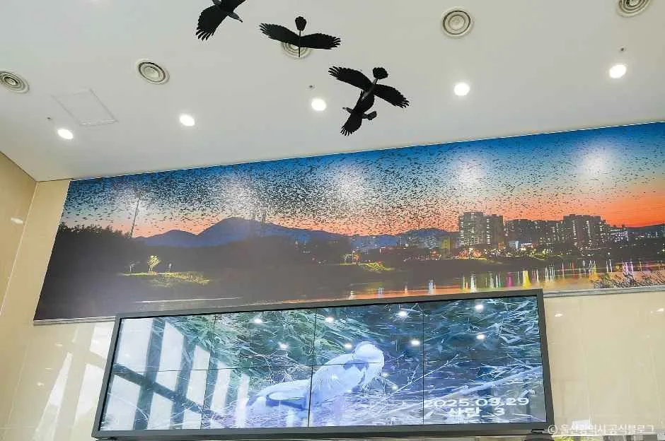 울산_철새홍보관 (2).jpg