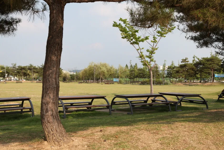 충남_천안_신방공원_풍경1