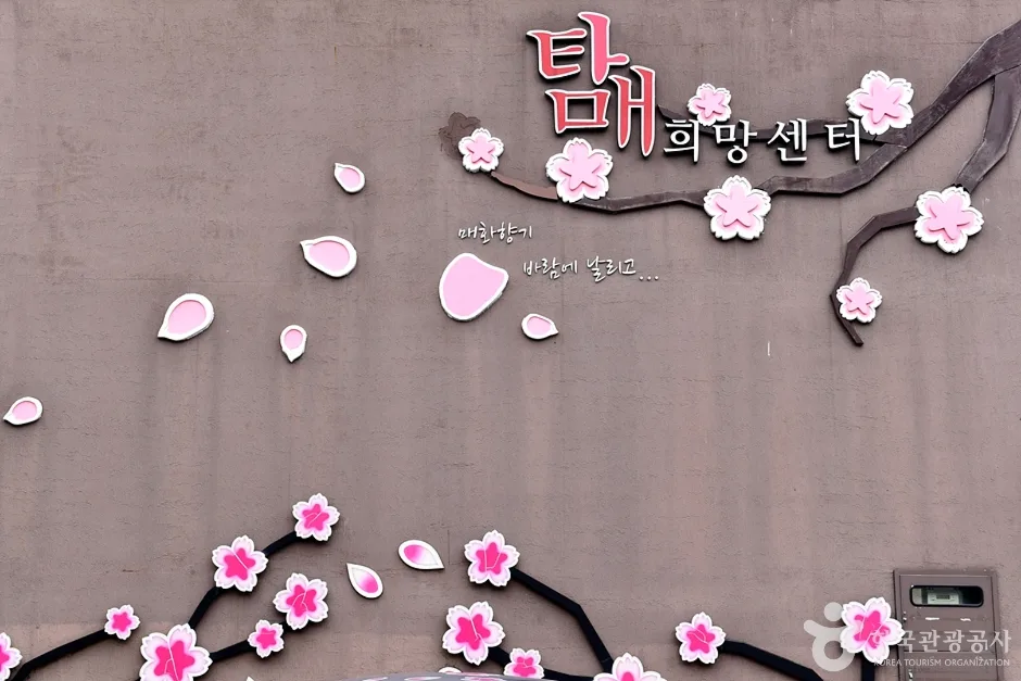 NO2189_전남_순천_탐매마을_탐매희망센터벽화포토존
