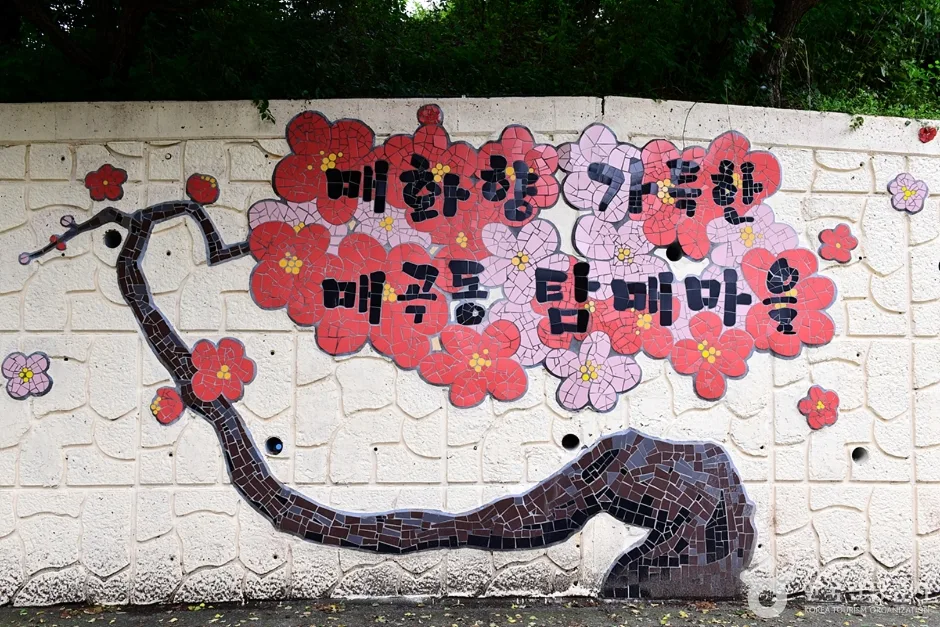 전남_순천_탐매마을_외부_1.jpg